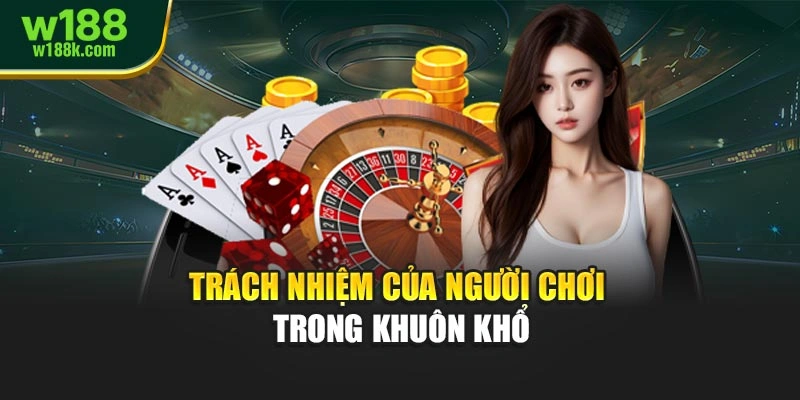 Trách nhiệm của người chơi trong khuôn khổ